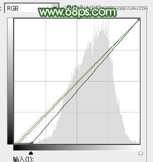 Photoshop调出果子照片唯美的逆光效果