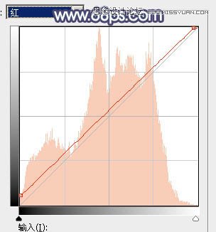 Photoshop调出树下女孩甜美的暖色调