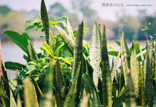 Photoshop结合LR制作小清新胶片风格