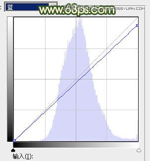 Photoshop调出可爱女孩秋季暖黄色调