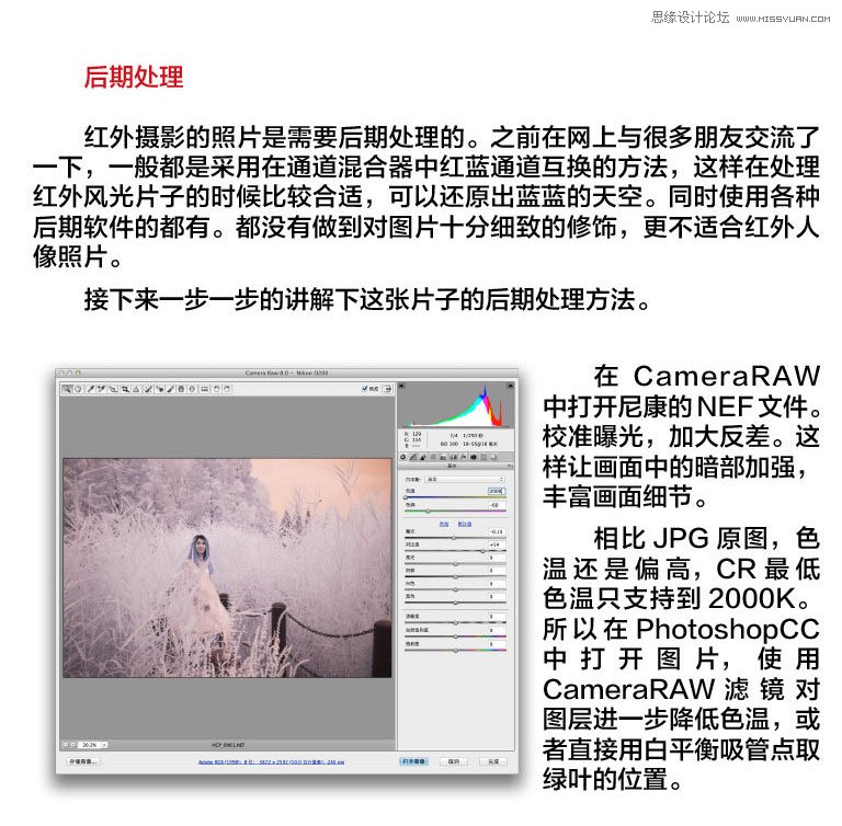Photoshop详细解密后期红外线效果处理方法