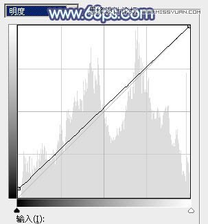 Photoshop调出美女照片清新通透肤色效果