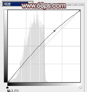 Photoshop调出外景人像秋季红褐色调