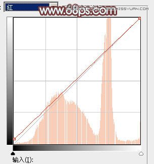 Photoshop调出外景人像秋季红褐色调