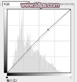 Photoshop调出外景女孩唯美的暖色调