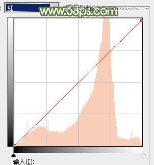 Photoshop调出树下女孩青色通透肤色