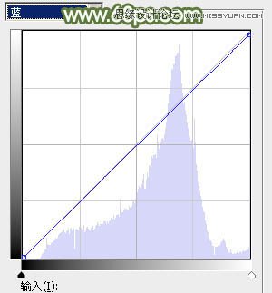 Photoshop调出树下女孩青色通透肤色