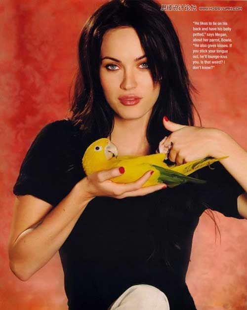 Photoshop详细解析主要颜色的选择方法