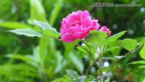 Photoshop详细解析主要颜色的选择方法