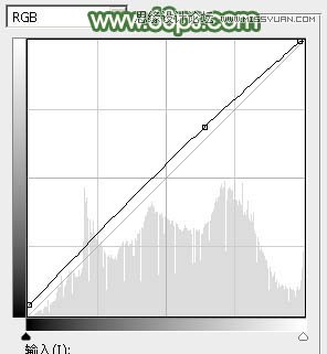 Photoshop调出果子照片甜美的青色效果