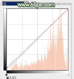 Photoshop调出夏季公园女孩怀旧效果