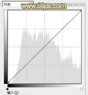 Photoshop调出草地美女朦胧柔美色调
