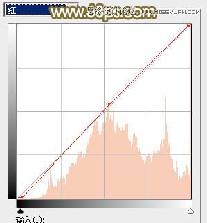 Photoshop调出草地美女朦胧柔美色调