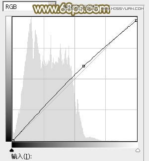Photoshop调出草地美女朦胧柔美色调