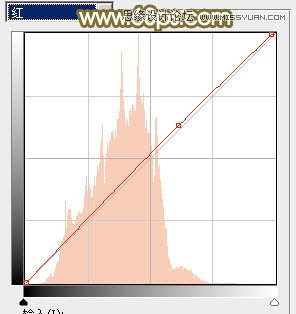 Photoshop调出草地美女朦胧柔美色调