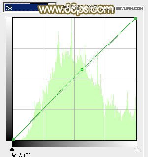 Photoshop调出草地美女朦胧柔美色调