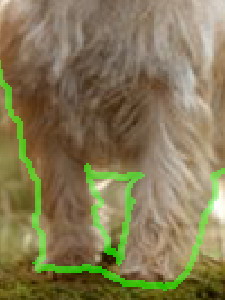 Photoshop详细解析抠图全方位攻略