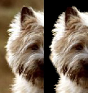 Photoshop详细解析抠图全方位攻略