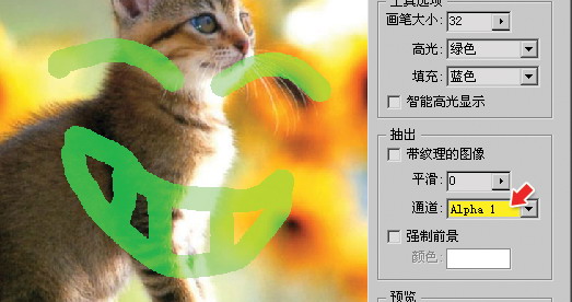 Photoshop详细解析抠图全方位攻略