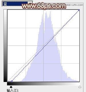 Photoshop调出江边美女唯美的淡黄肤色