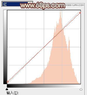 Photoshop调出江边美女唯美的淡黄肤色