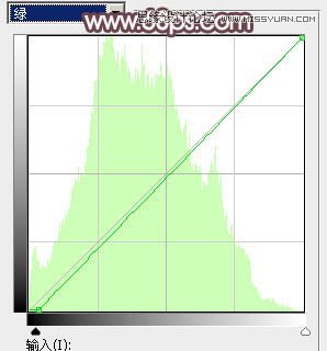 Photoshop调出春季河边美女唯美肤色效果