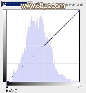 Photoshop调出河边美女秋季淡黄色调