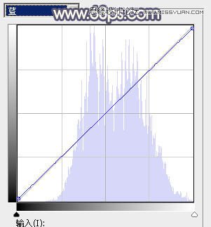 Photoshop调出河边女孩暗色紫色效果