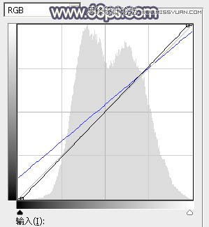 Photoshop调出河边女孩暗色紫色效果