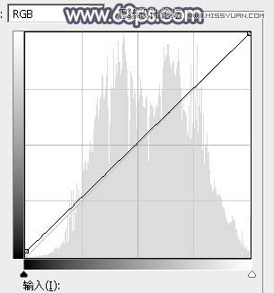 Photoshop调出河边女孩暗色紫色效果