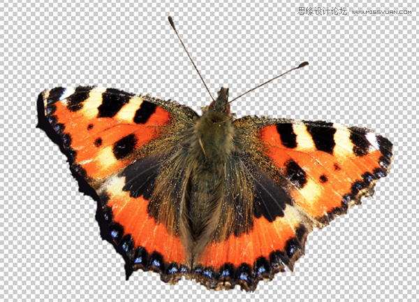 Photoshop详细解析蒙版工具的使用技巧