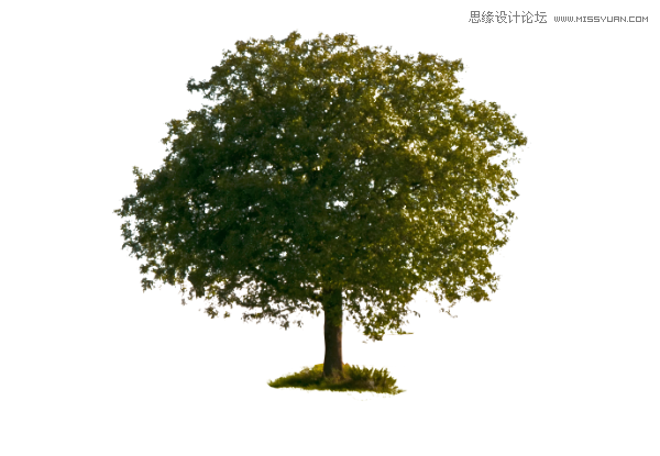 Photoshop详细解析蒙版工具的使用技巧