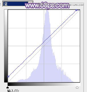 Photoshop调出林中模特唯美紫色效果