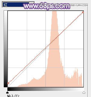 Photoshop调出林中模特唯美紫色效果