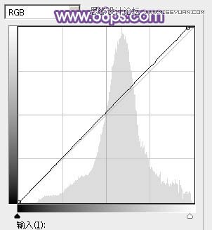 Photoshop调出林中模特唯美紫色效果