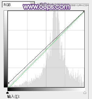 Photoshop调出林中模特唯美紫色效果