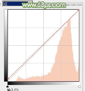 Photoshop调出美女照片淡雅的清纯色调