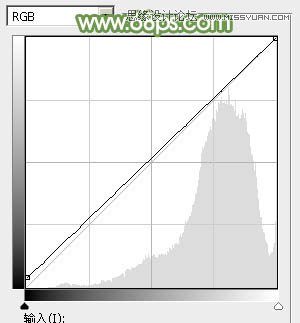 Photoshop调出美女照片淡雅的清纯色调