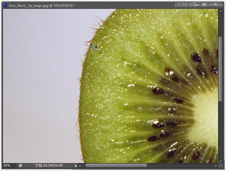 Photoshop制作超酷的猕猴桃艺术字教程