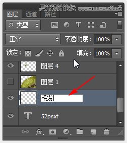 Photoshop制作超酷的猕猴桃艺术字教程