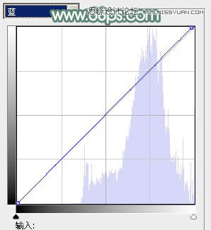 Photoshop调出春季女孩淡淡的甜美色调