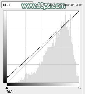 Photoshop调出春季女孩淡淡的甜美色调