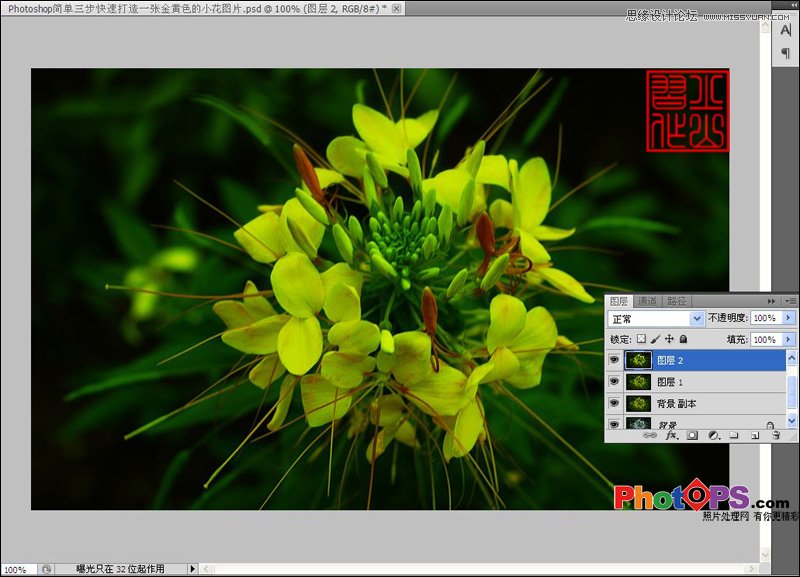 Photoshop简单调出花朵照片意境黄色调