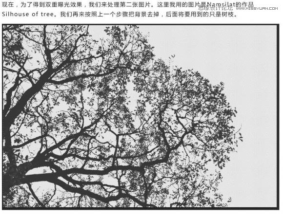 Photoshop制作人物与树木的双重曝光效果