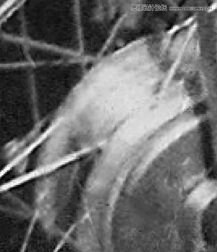 Photoshop修复严重损毁的老照片