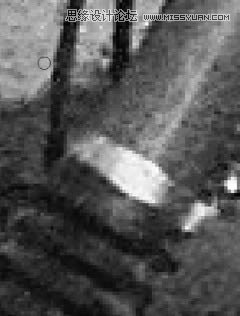 Photoshop修复严重损毁的老照片