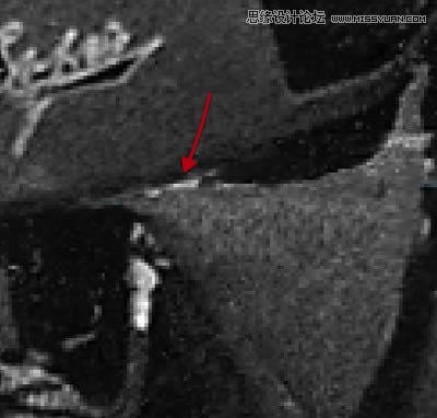 Photoshop修复严重损毁的老照片