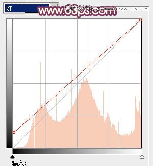 Photoshop调出林中女孩温馨的柔美肤色