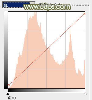 Photoshop调出草地美女照片朦胧秋季色调
