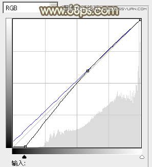 Photoshop调出公园美女秋季唯美黄色调